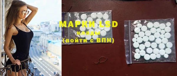 стафф Новодвинск