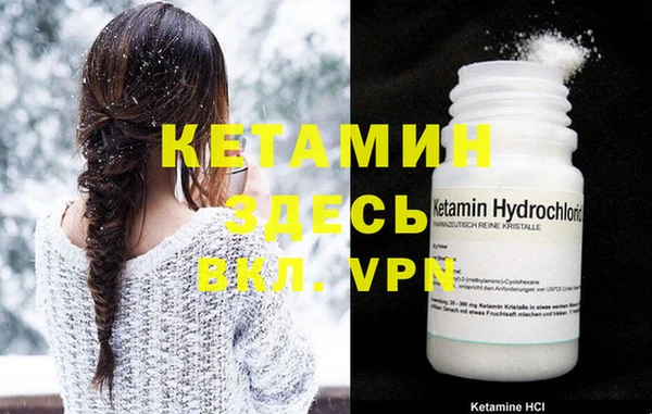 стафф Новодвинск