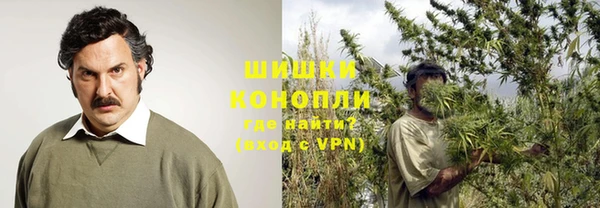 Альфа ПВП Новозыбков