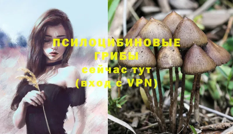ОМГ ОМГ маркетплейс  Волоколамск  Галлюциногенные грибы MAGIC MUSHROOMS 