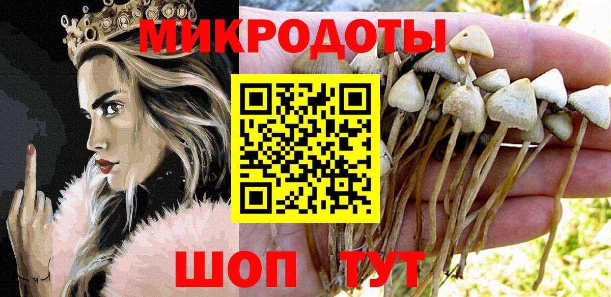 как найти   Галлюциногенные грибы ЛСД  Вход с VPN  Волоколамск 