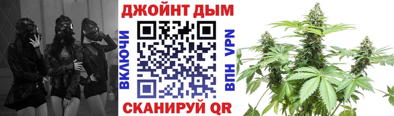 Бошки Шишки план  дарнет шоп  Волоколамск 