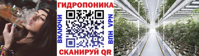 Конопля план Волоколамск